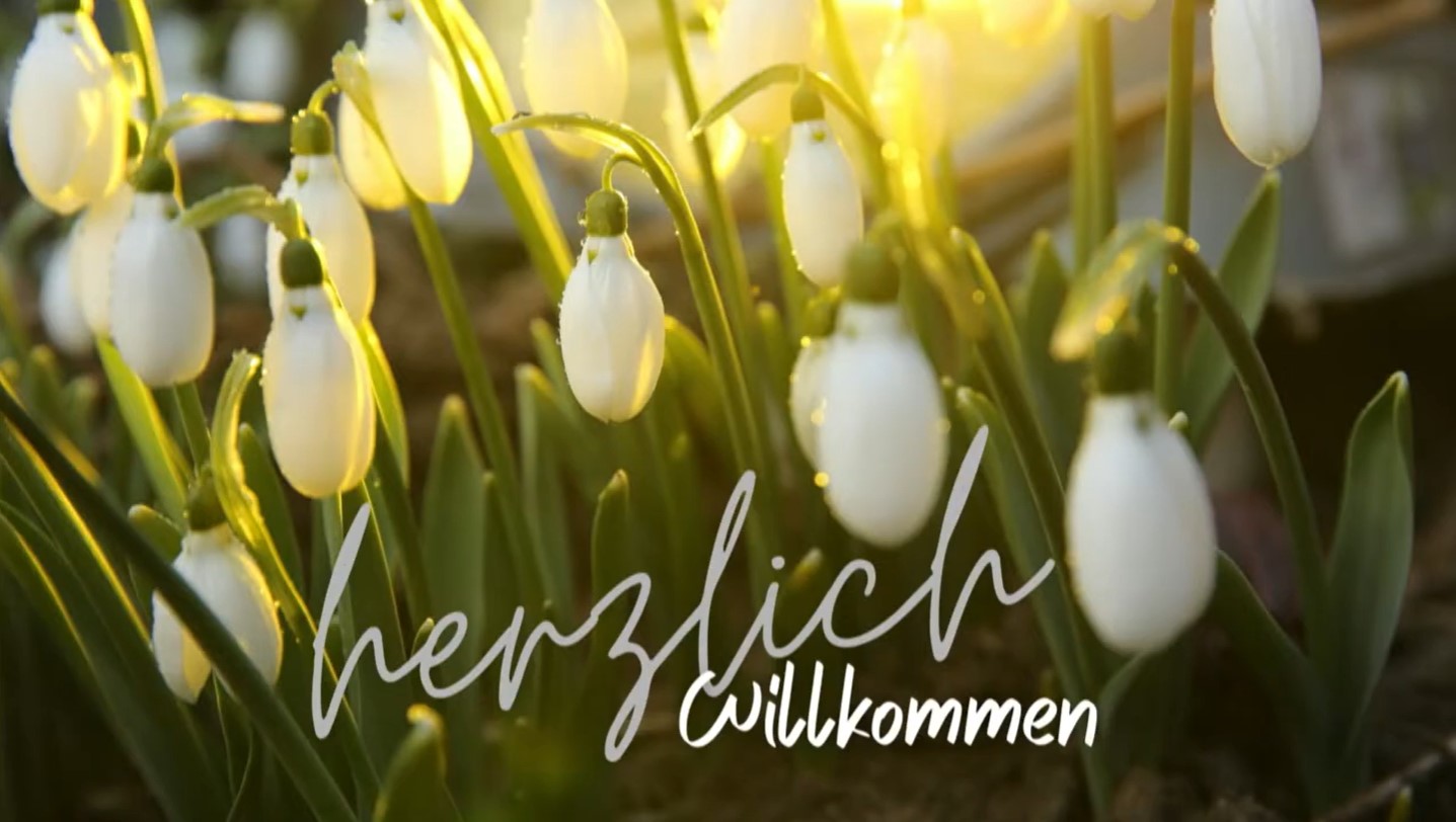 Screenshot 2026-03-10 111529