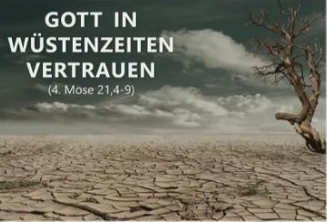 2021.05.30 Roost